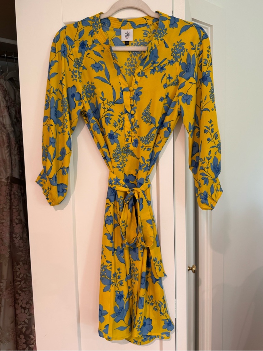 CAbi Lemon Drop Dress